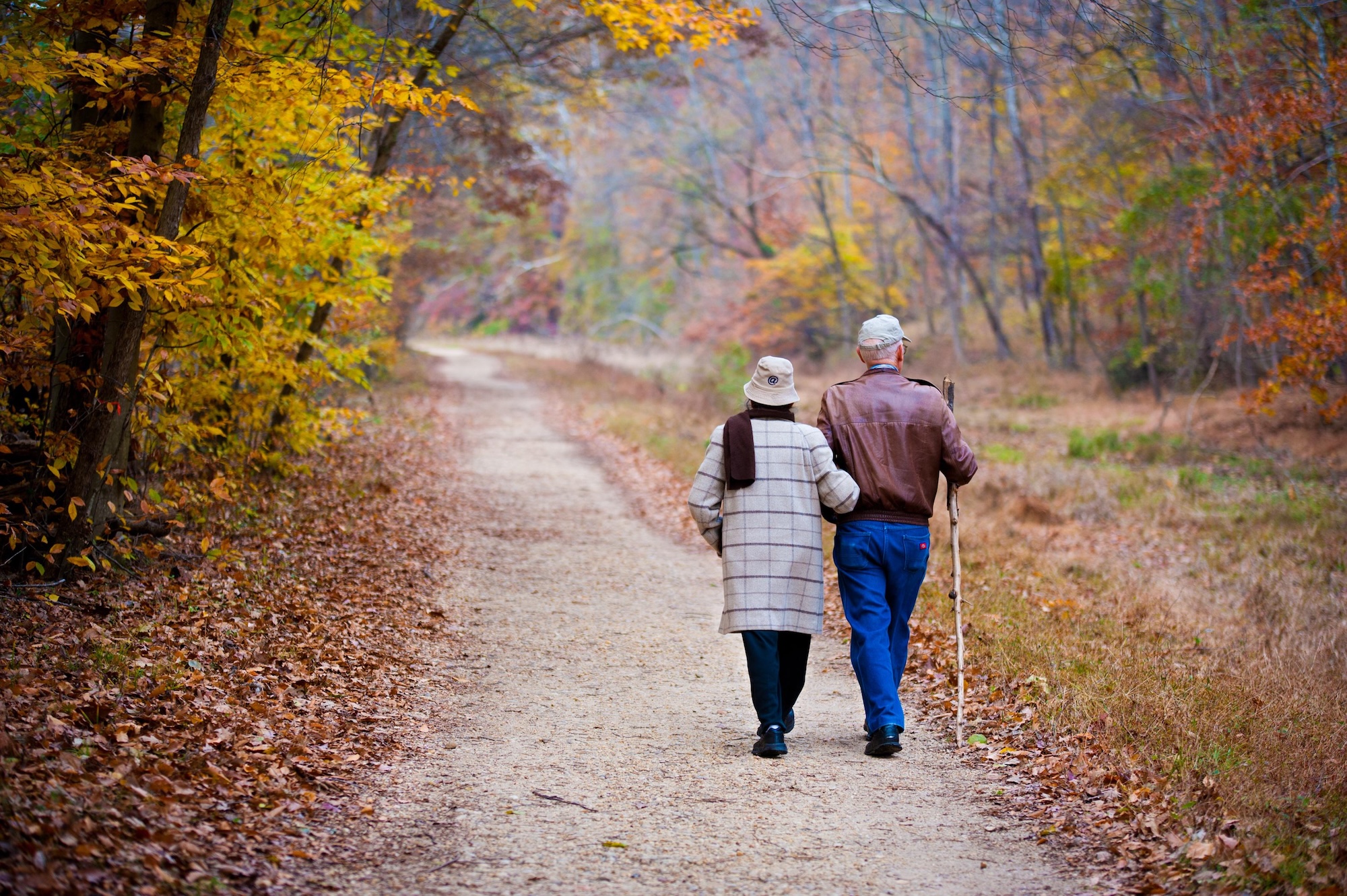 Couple walking confidently through vibrant fall foliage in golden afternoon light