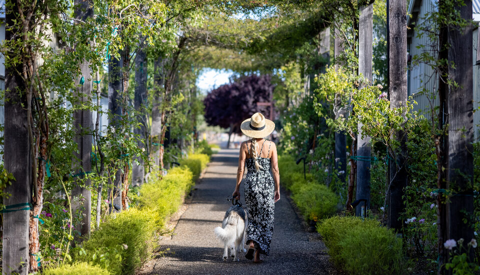 Real annuity owners report dramatically less financial stress — and more confidence — than those without guaranteed income.